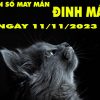 Phân tích con số may mắn tuổi Đinh Mão ngày 11/11/2023 hôm nay