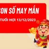 TUỔI HỢI 13/12/2023