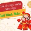 Con số may mắn tuổi Đinh Mão hôm nay