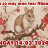 Phân tích con số may mắn tuổi Nhâm Tý ngày 14/3/2024