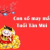 con số may mắn tuổi Tân Mùi